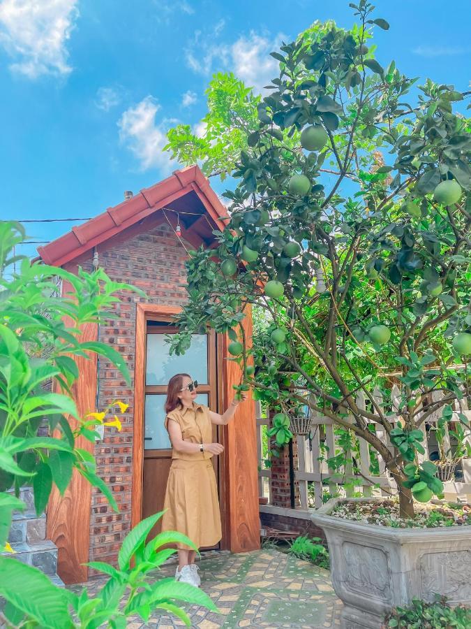 Cosiana Homestay Ninh Binh Eksteriør bilde